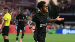 Fabio Carvalho, nouvelle cible de l’OL pour cet hiver ?