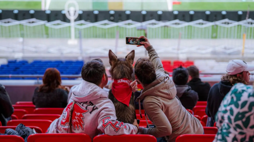 OL Lyonnes : Le "match de wouf" fait son retour au Groupama Stadium