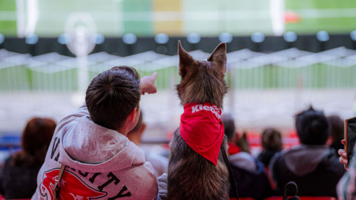 OL Lyonnes : la rencontre change de date, le Match 2 Wouf maintenu malgr&eacute; tout