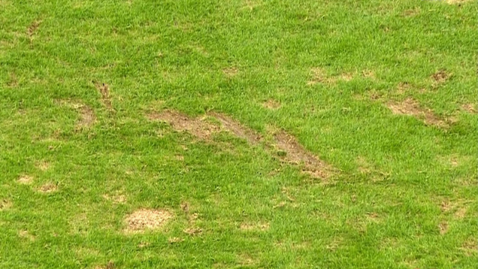 OL : seulement deux mois apr&egrave;s son changement, la pelouse du Groupama Stadium inqui&egrave;te