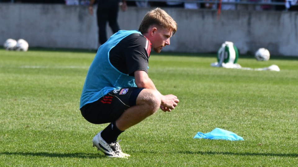 Pavel Šulc, le "faux neuf" qui fait du bien à l’OL Pavel Šulc, le "faux neuf" qui fait du bien à l’OL